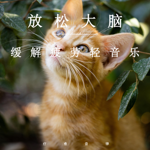 全家乱伦护士小说
